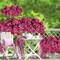 20 Bundles Artificial Flowers Outdoor UV Resistant, No‑Fade Fake Rose Red Plants for Patio, Porch, Window Box, Garden, Home & Wedding Farmhouse Decor